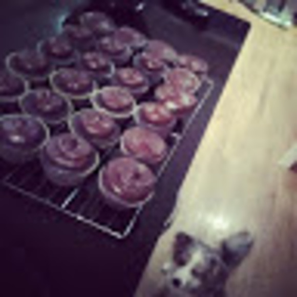 Meet your Posher, Cat - Picture 1 of 1